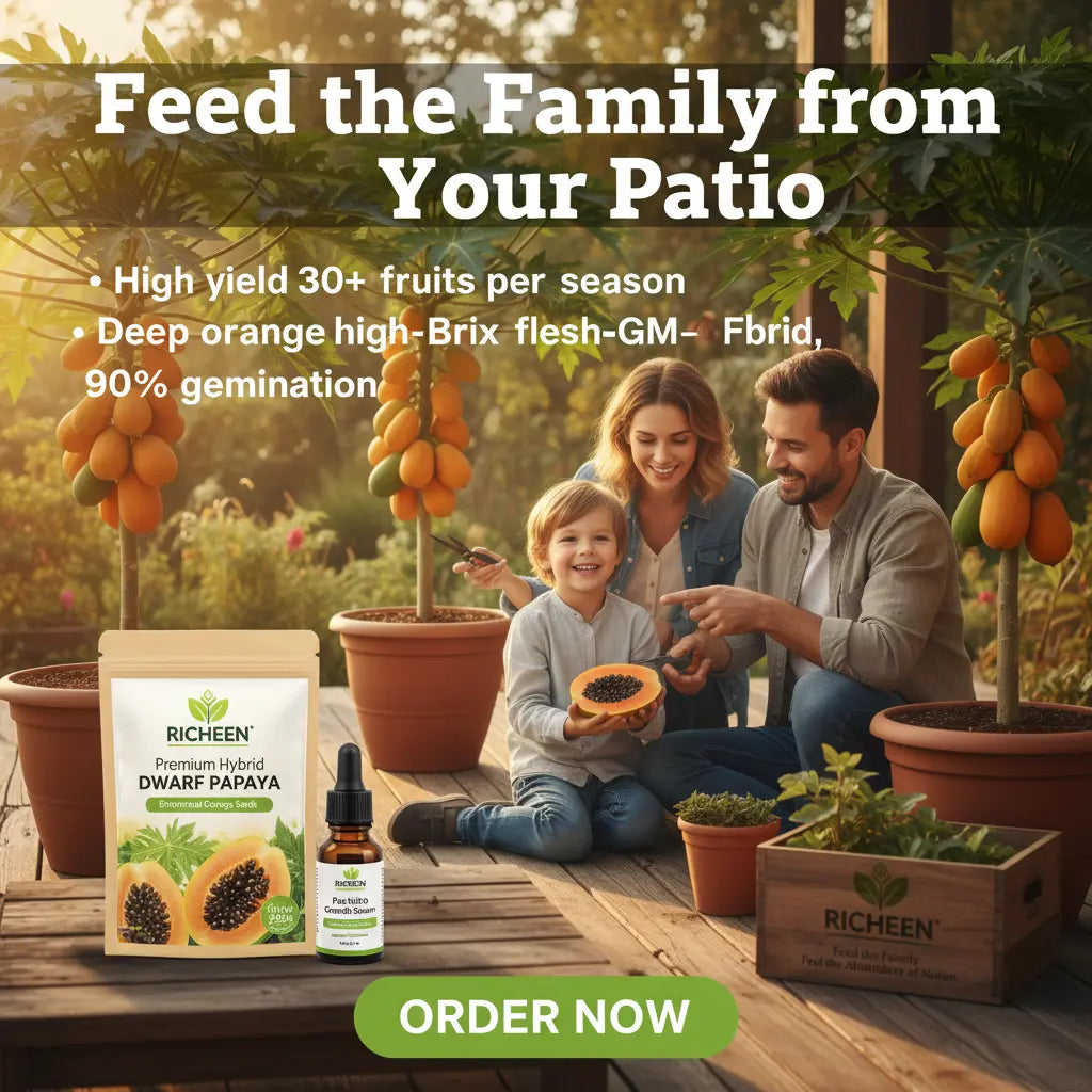 50 Seeds - Big Harvest, Small Space: Premium Hybrid Dwarf Papaya Seeds 🥭+ Plant Growth Supplement Free